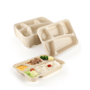 3 COMPARTMENT DISPOSABLE PLATE 25PC